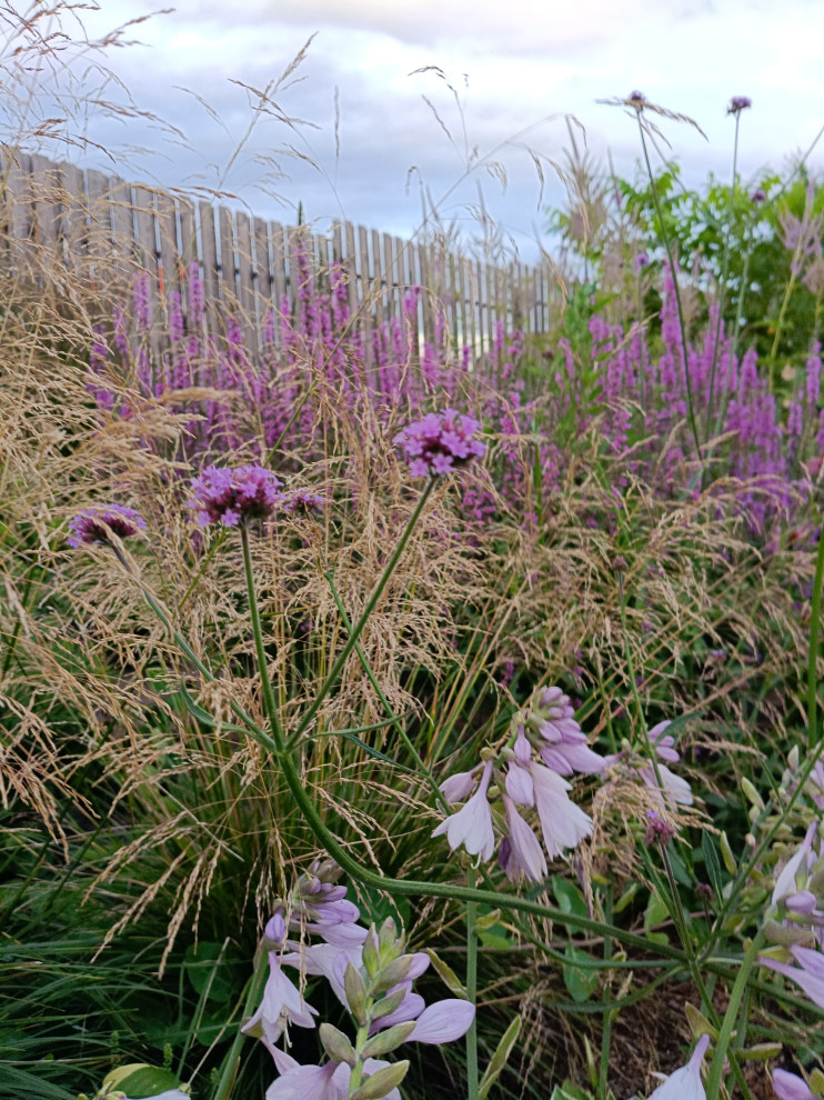 Современный цветник