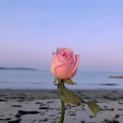 Надежда Дронов