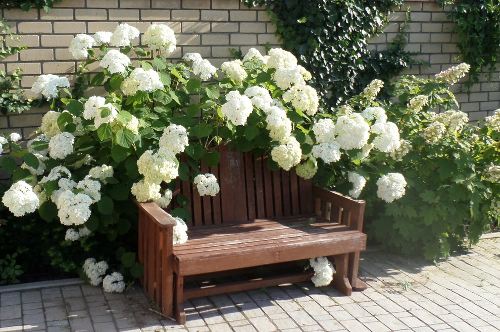 Сад над морем.