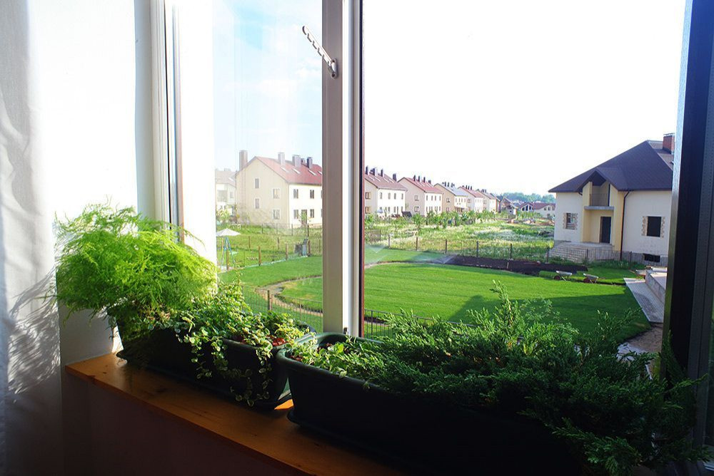 Фоновое изображение профиля Елена Савченко