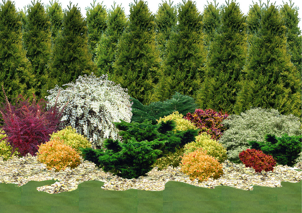 Проект ландшафтного дизайна дачного участка - композиция у въезда.