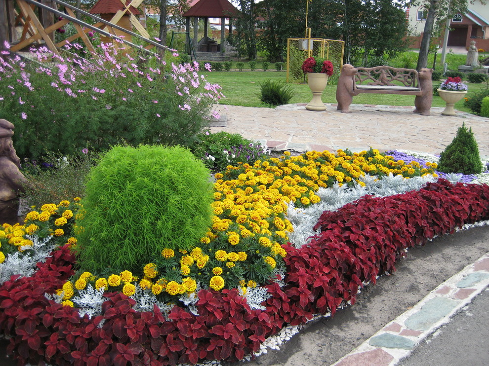 Озеленение