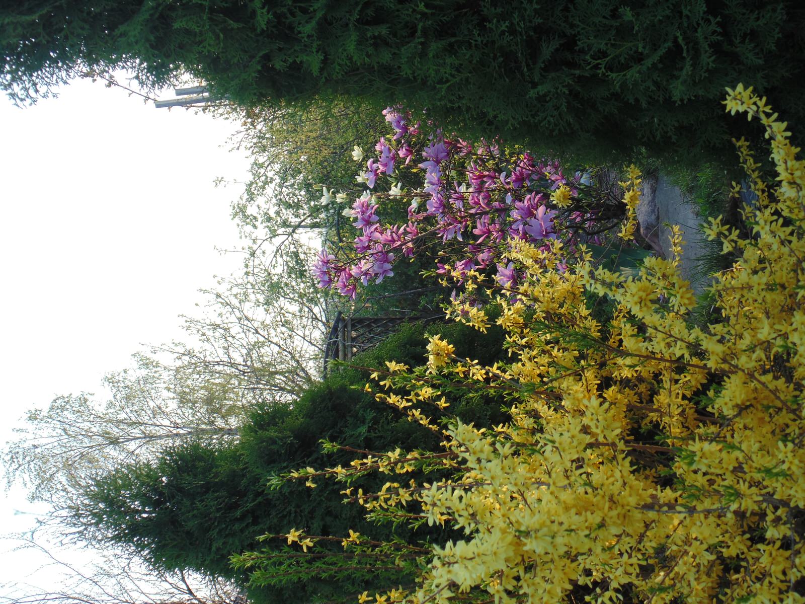 Наш собственный сад