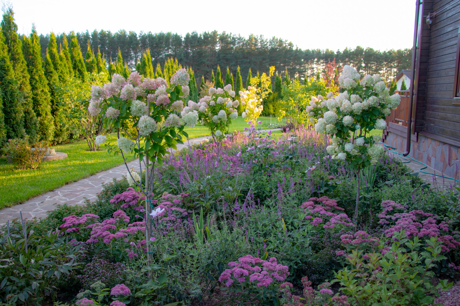 Сосновые берега