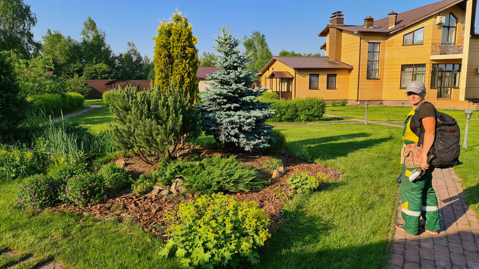 Посадка растений, озеленение