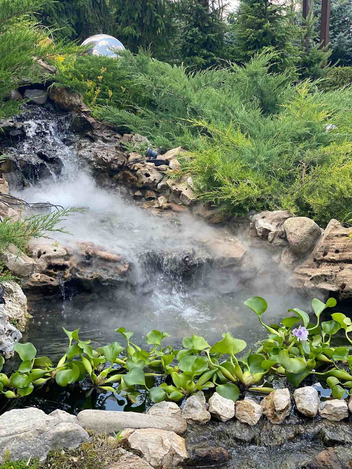 В гостях: Загадочный сад в Херсоне на 12 сотках