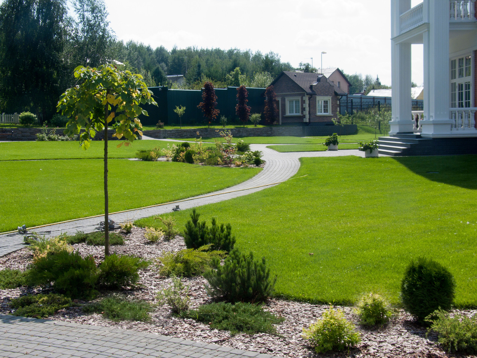 Зеленый сад