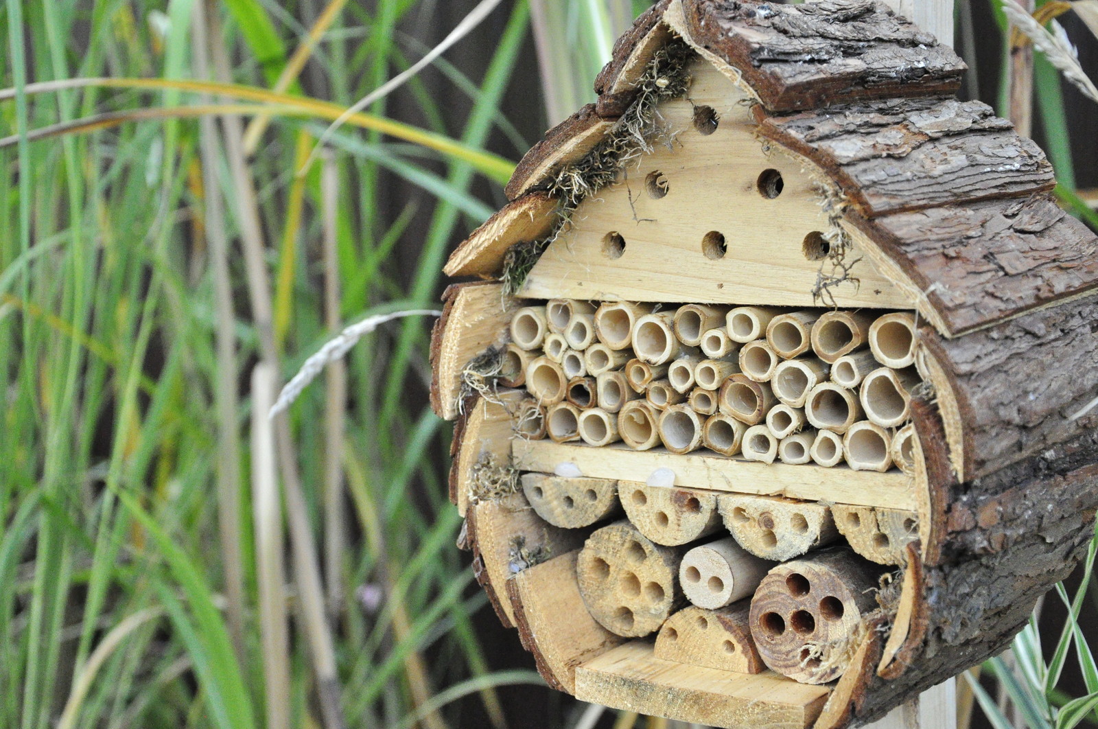 д. Коровино - Уход за садом - 100% качество