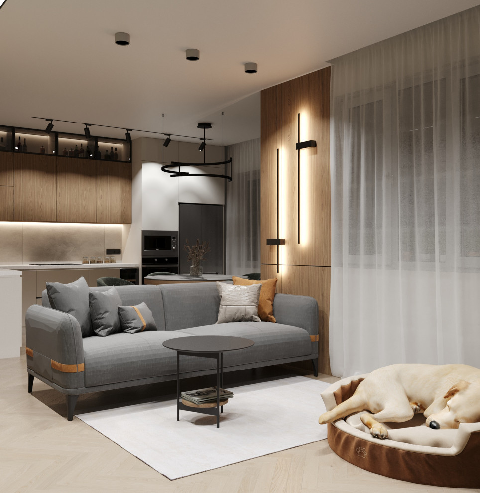 Кухня-гостиная в ЖК Александровский