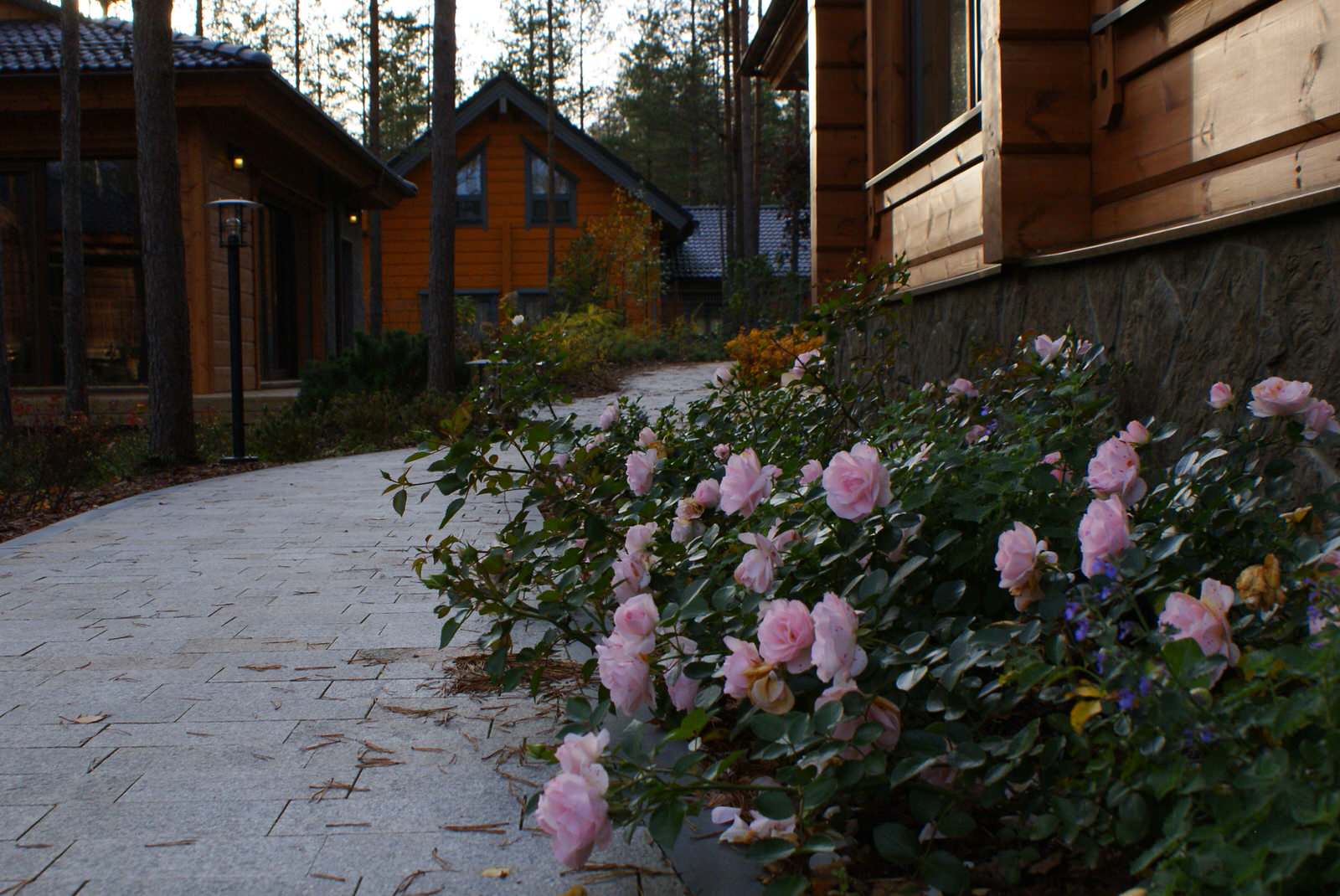 Северное поместье