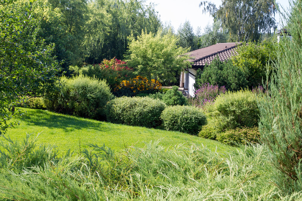 Garden of Elena Astashkina in Moscow Region