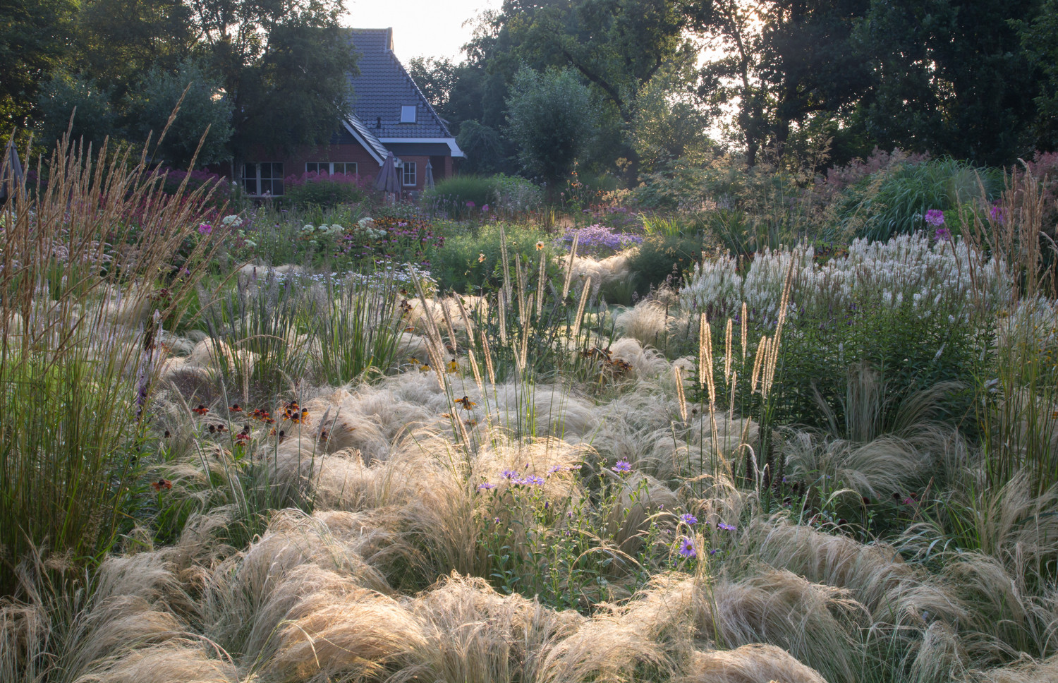 Houzz Нидерланды: Якобстуин — очаровательный сад Яапа де Вриса