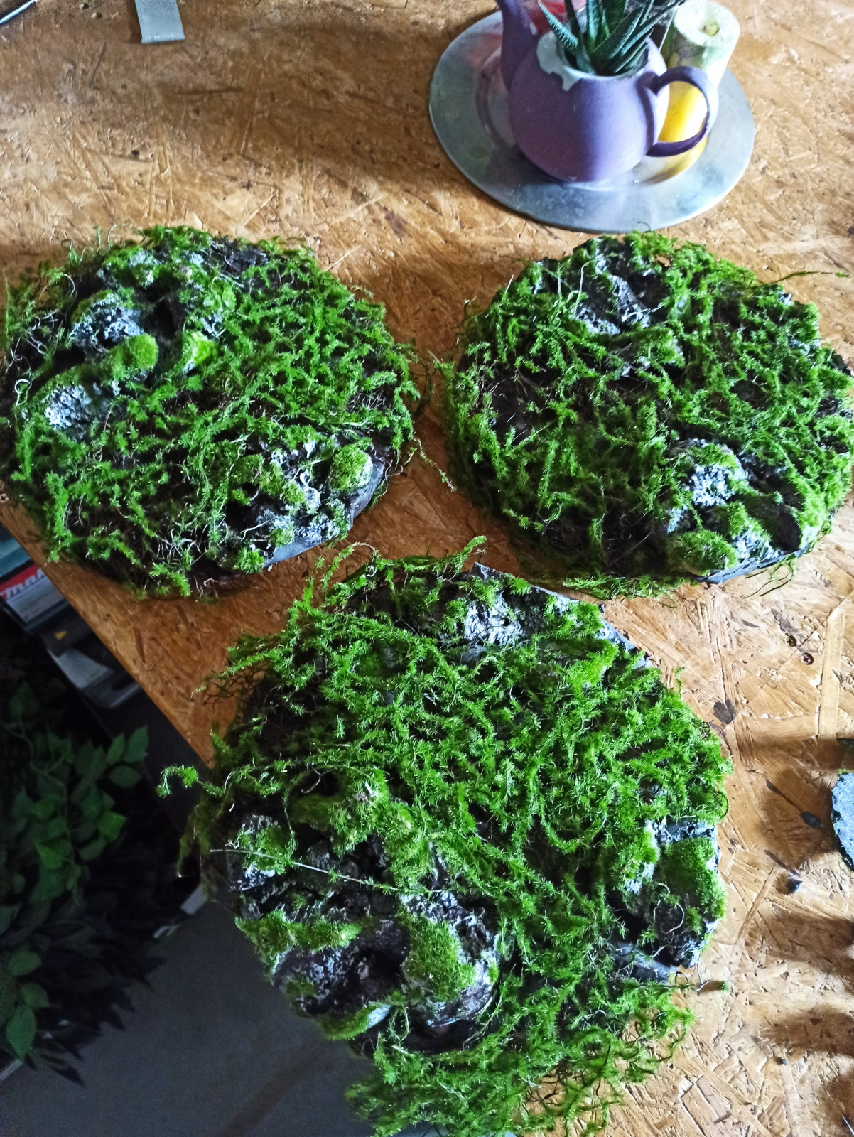 Круглые панно для гостевого дома