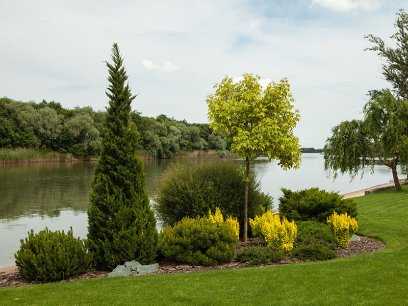 Частное домовладение