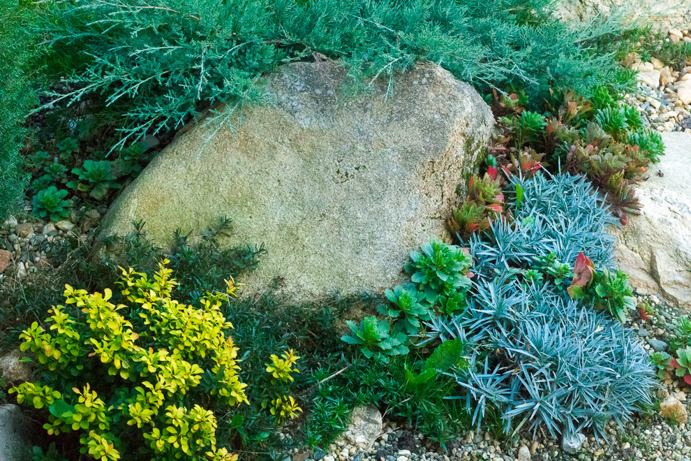 Минимализм в саду