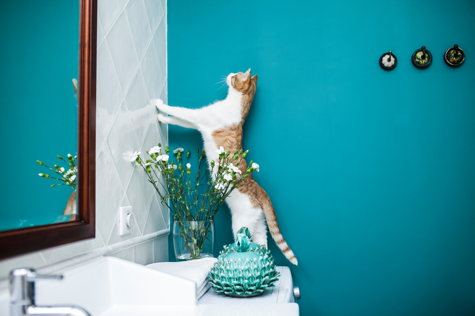 Обложка проекта: квартира в панельном доме 40м2