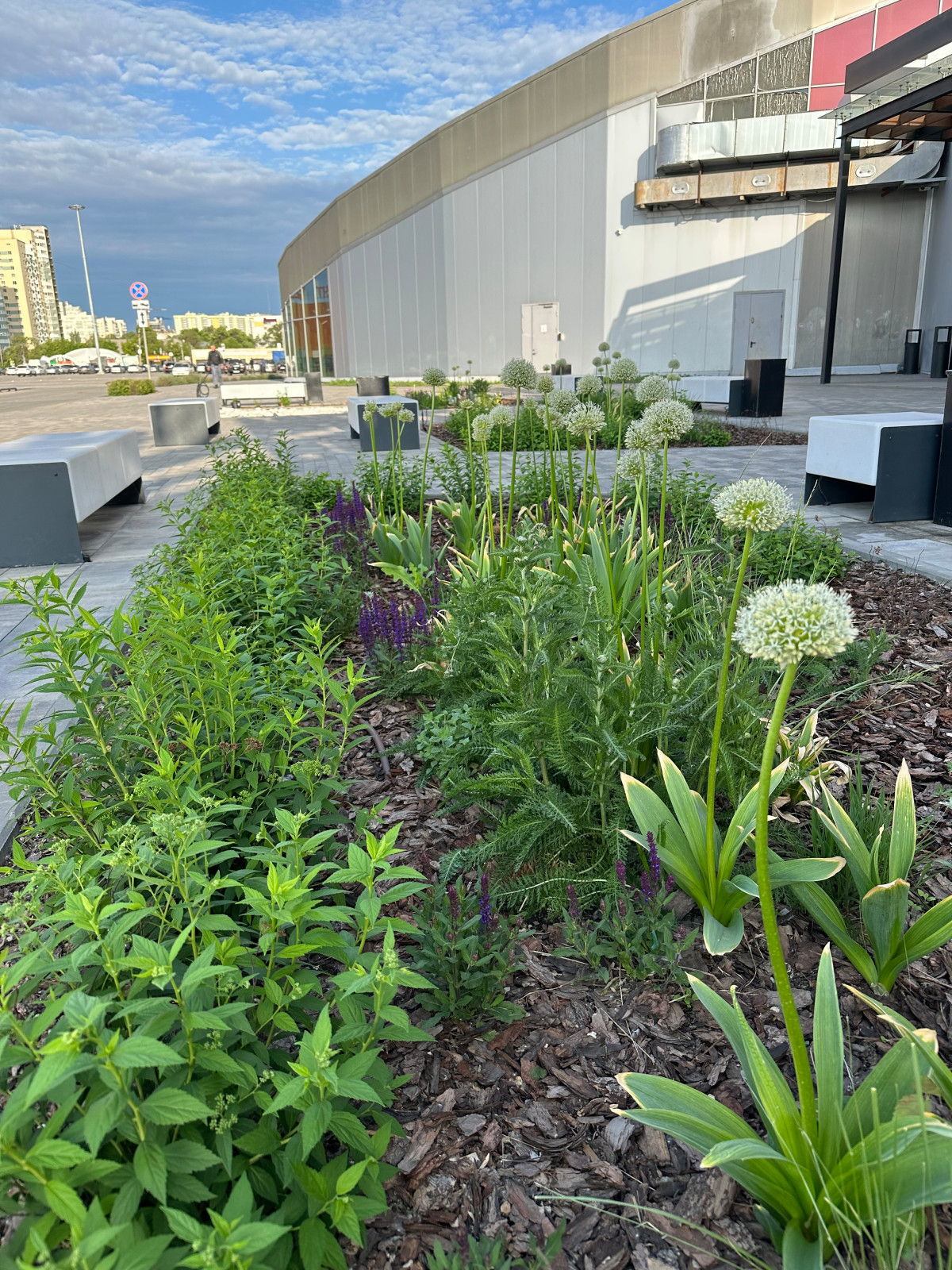 Благоустройство ландшафта торгового центра