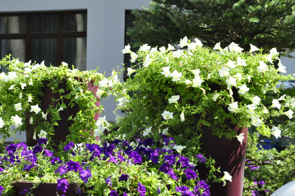 кп "Успенские дачи" - Уход за садом - 100% качество!