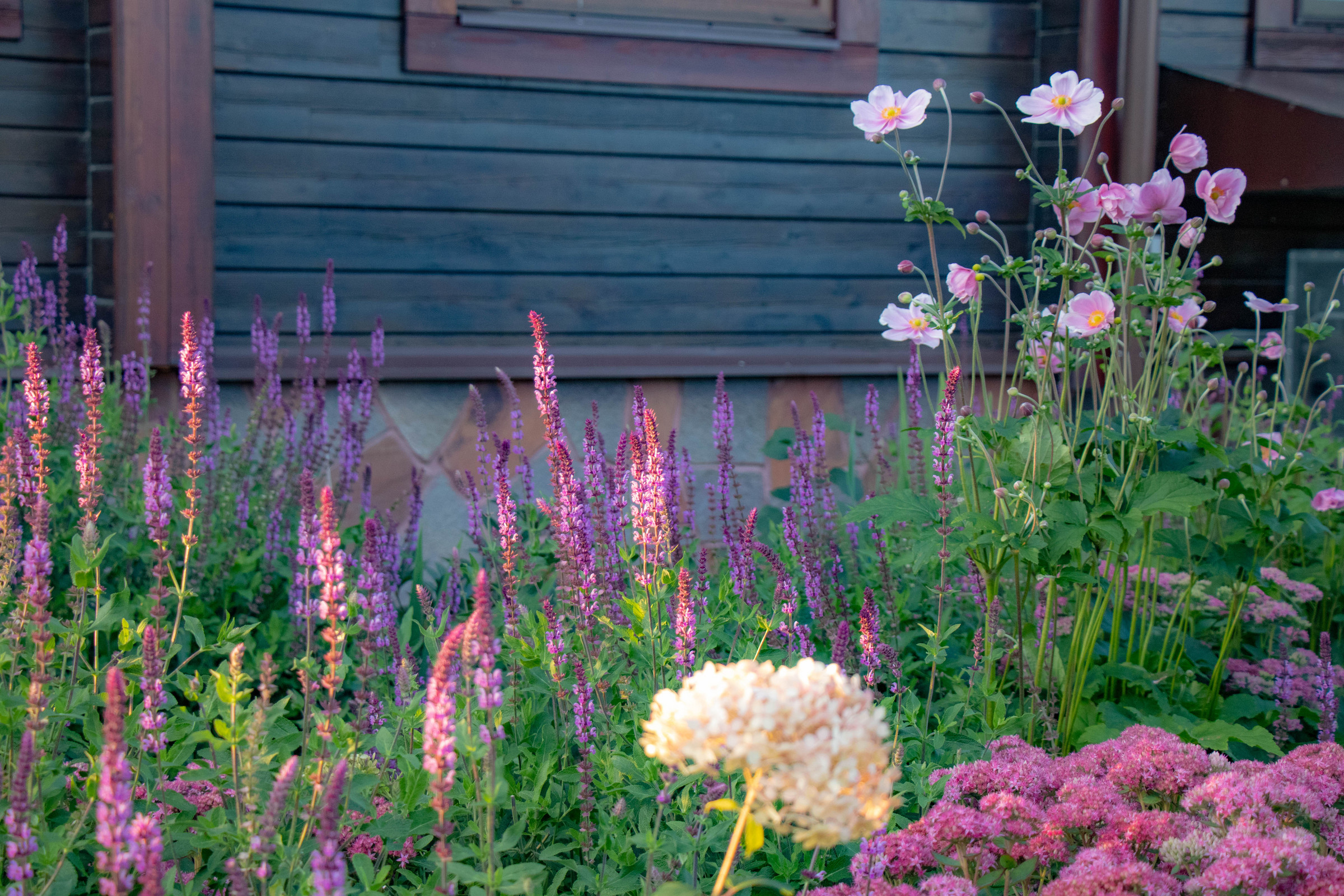 Сосновые берега