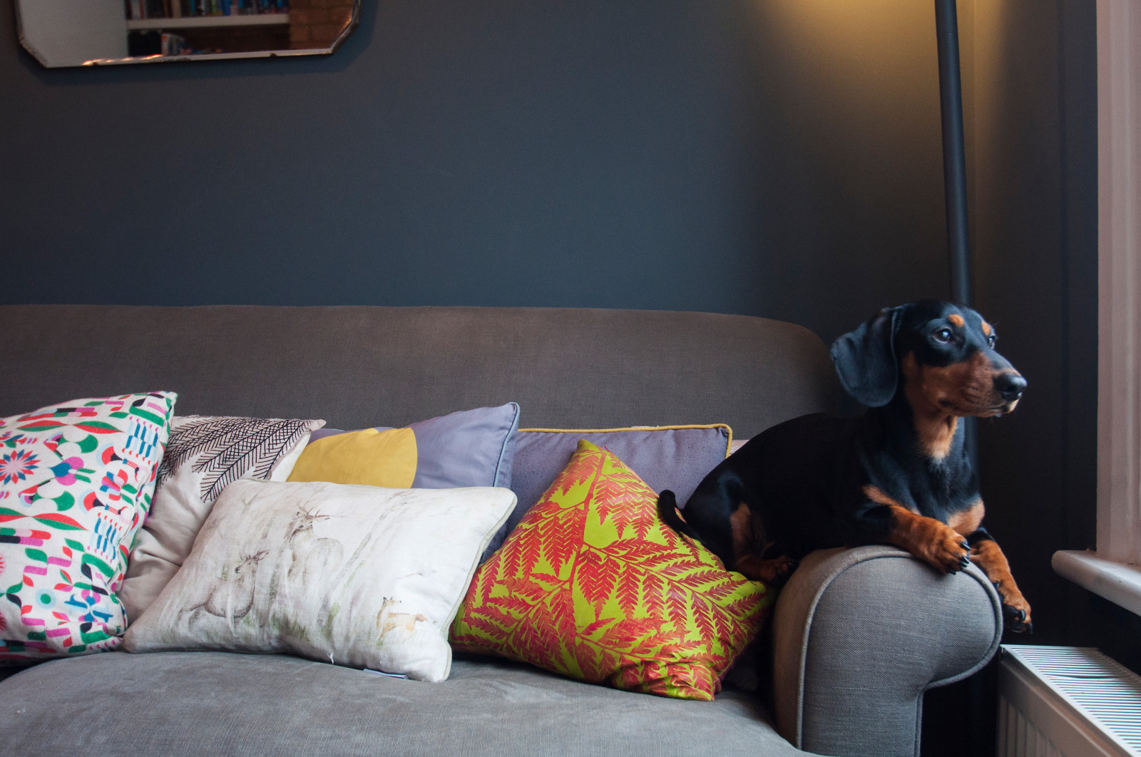 Загородный дом для большой семьи