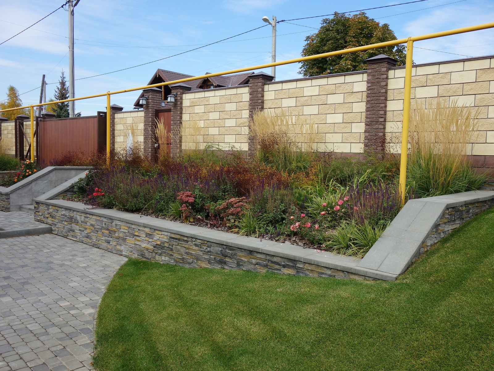 Сад с розами