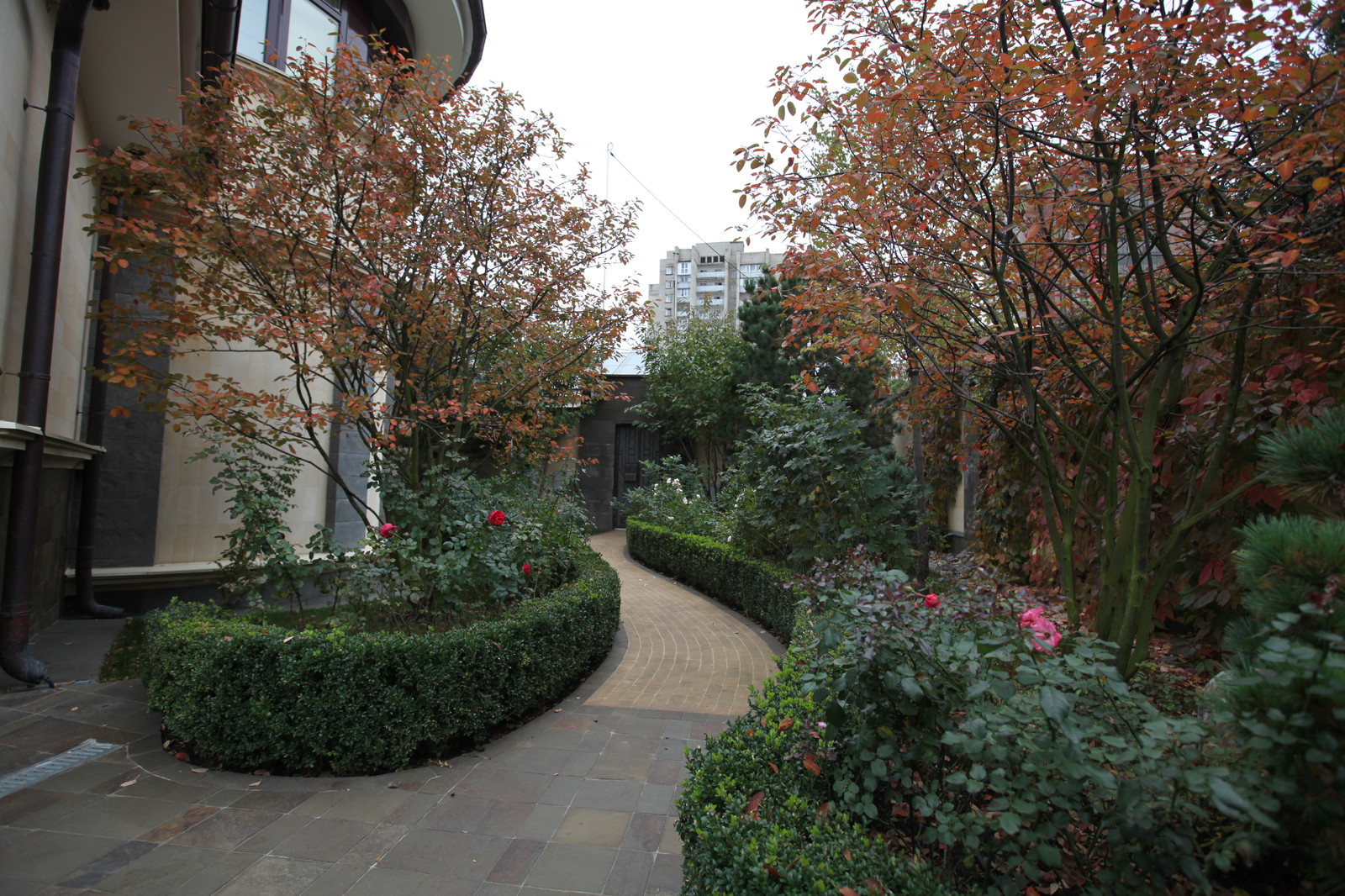 Итальянский сад с пиньями в городе