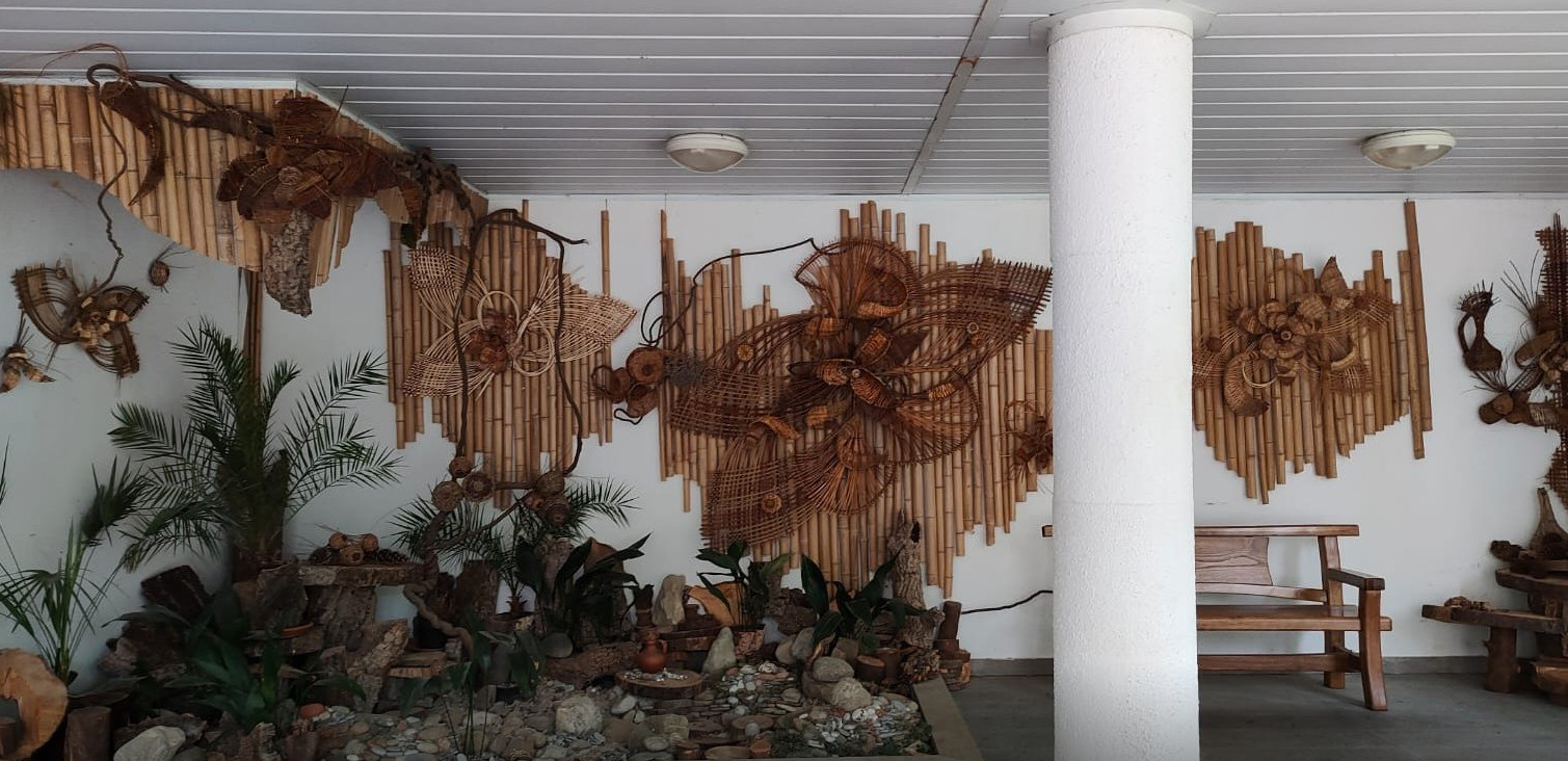 Обложка проекта: Дендрарий г. Сочи