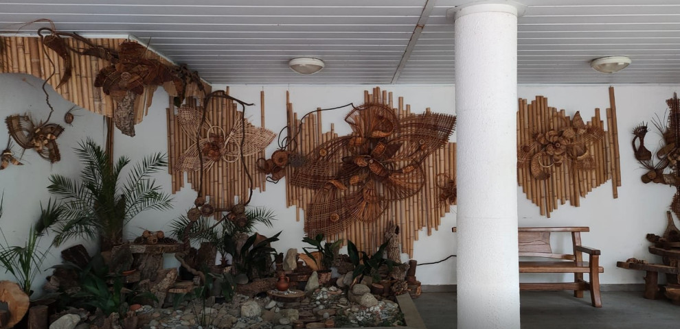 Обложка проекта: Дендрарий г. Сочи