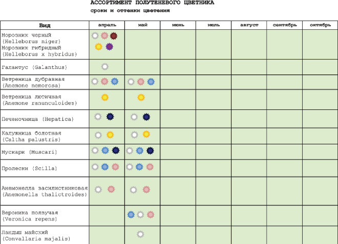 Как правильно: Создать клумбу непрерывного цветения