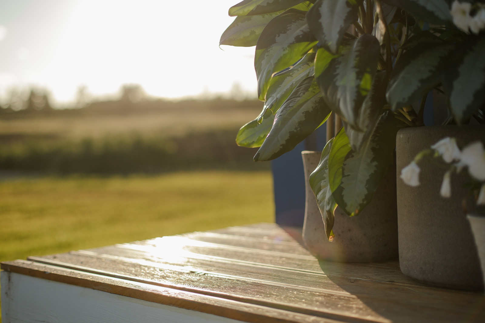 Обложка проекта: Concept House Store проект 2R house двойной брус