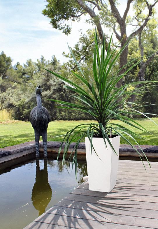 Сочетание дизайна и функциональности