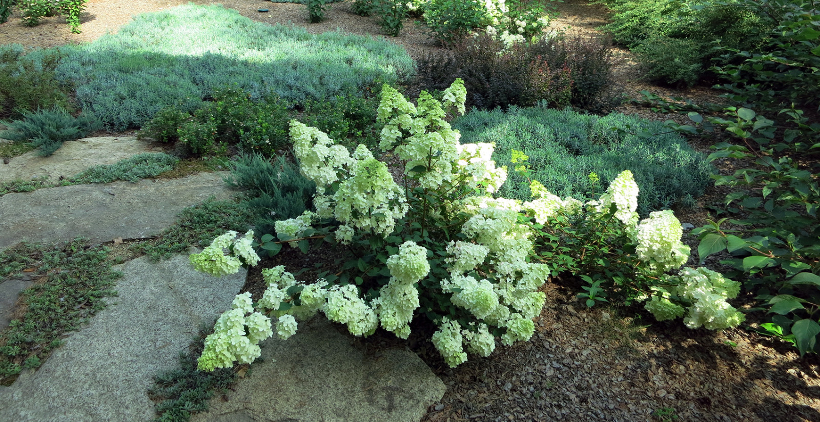 Не нужно бояться темноты