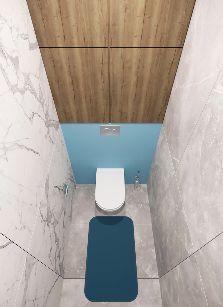 Ванна и туалет в одном стиле