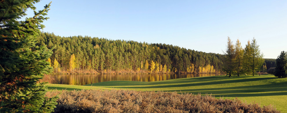 Новый пейзаж