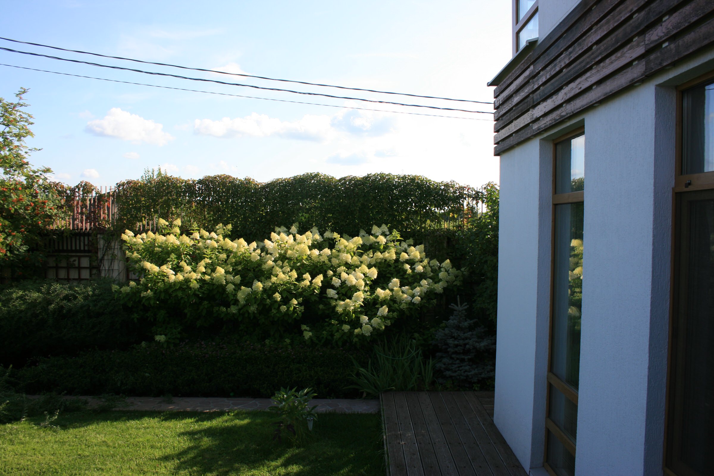 Сад в Летово