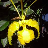 Виктория О.