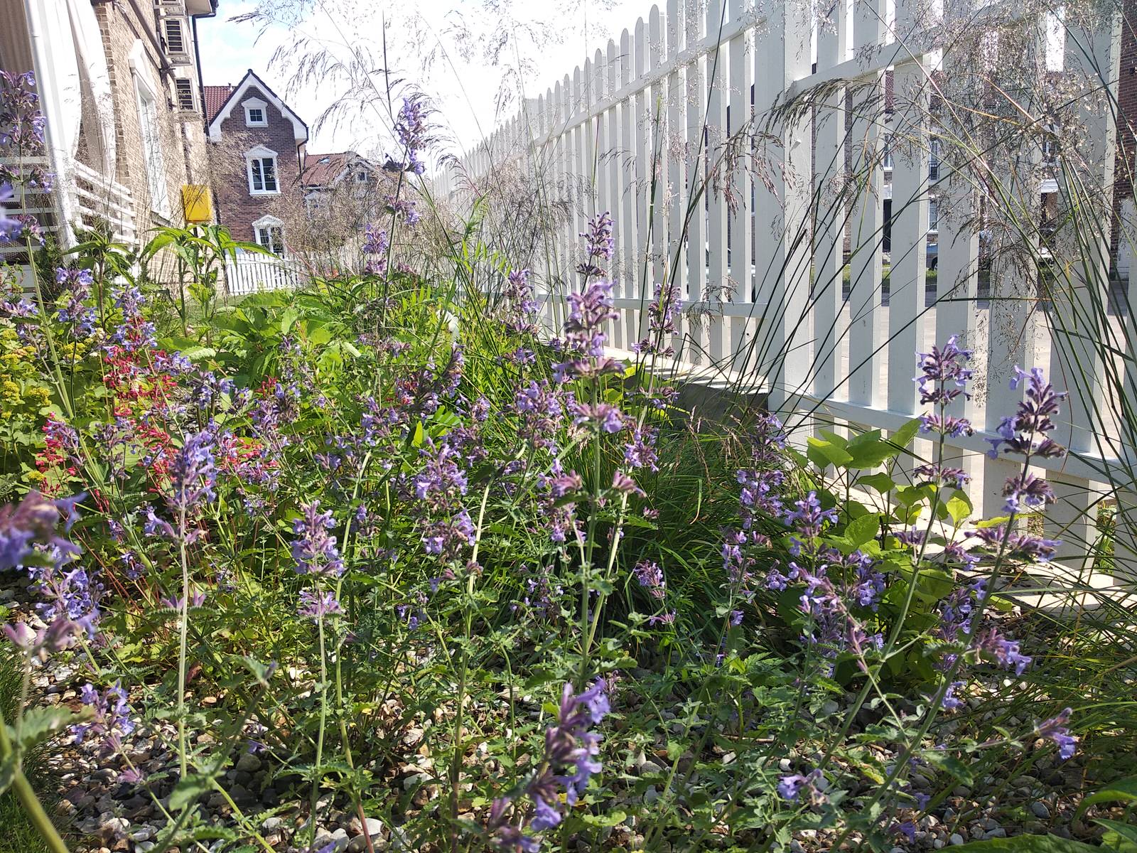 Английский садик