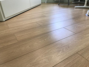 Янис Литвинов