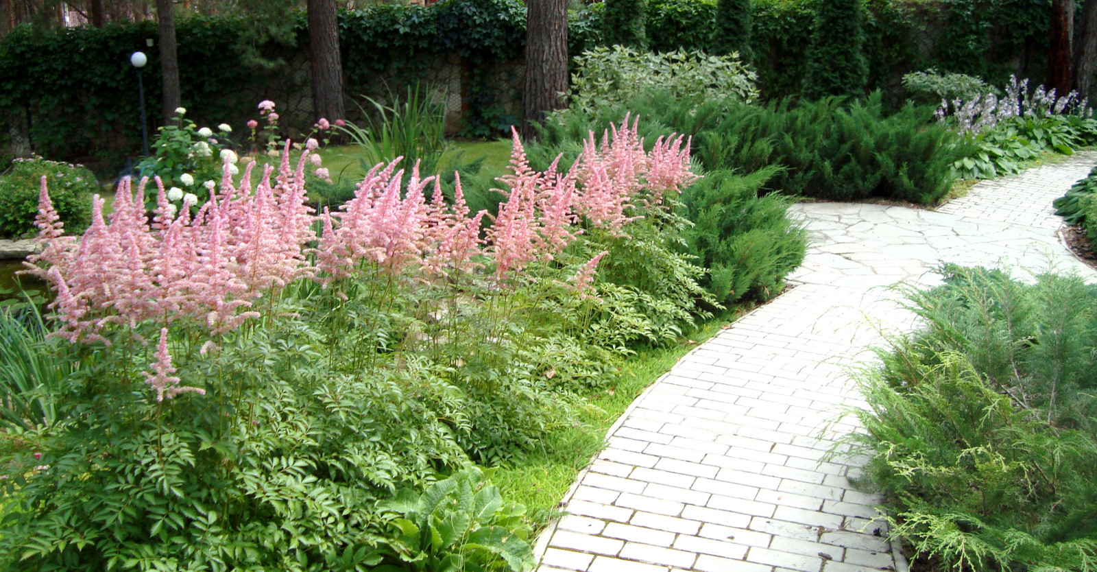 Сосновый бор