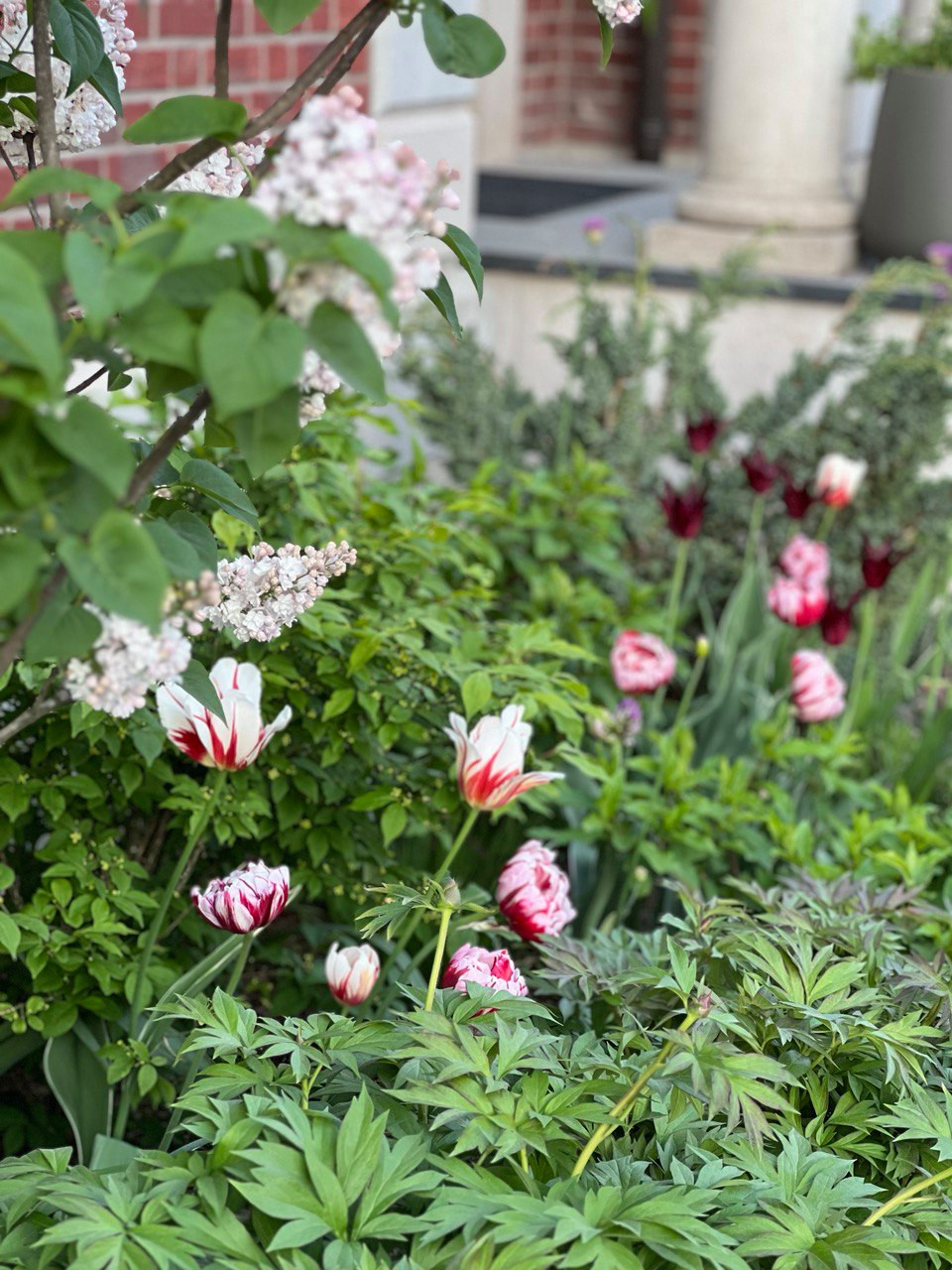 Английская история