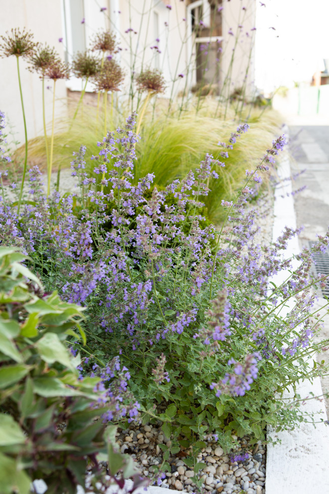 Обложка проекта: Озеленение территории офисного здания