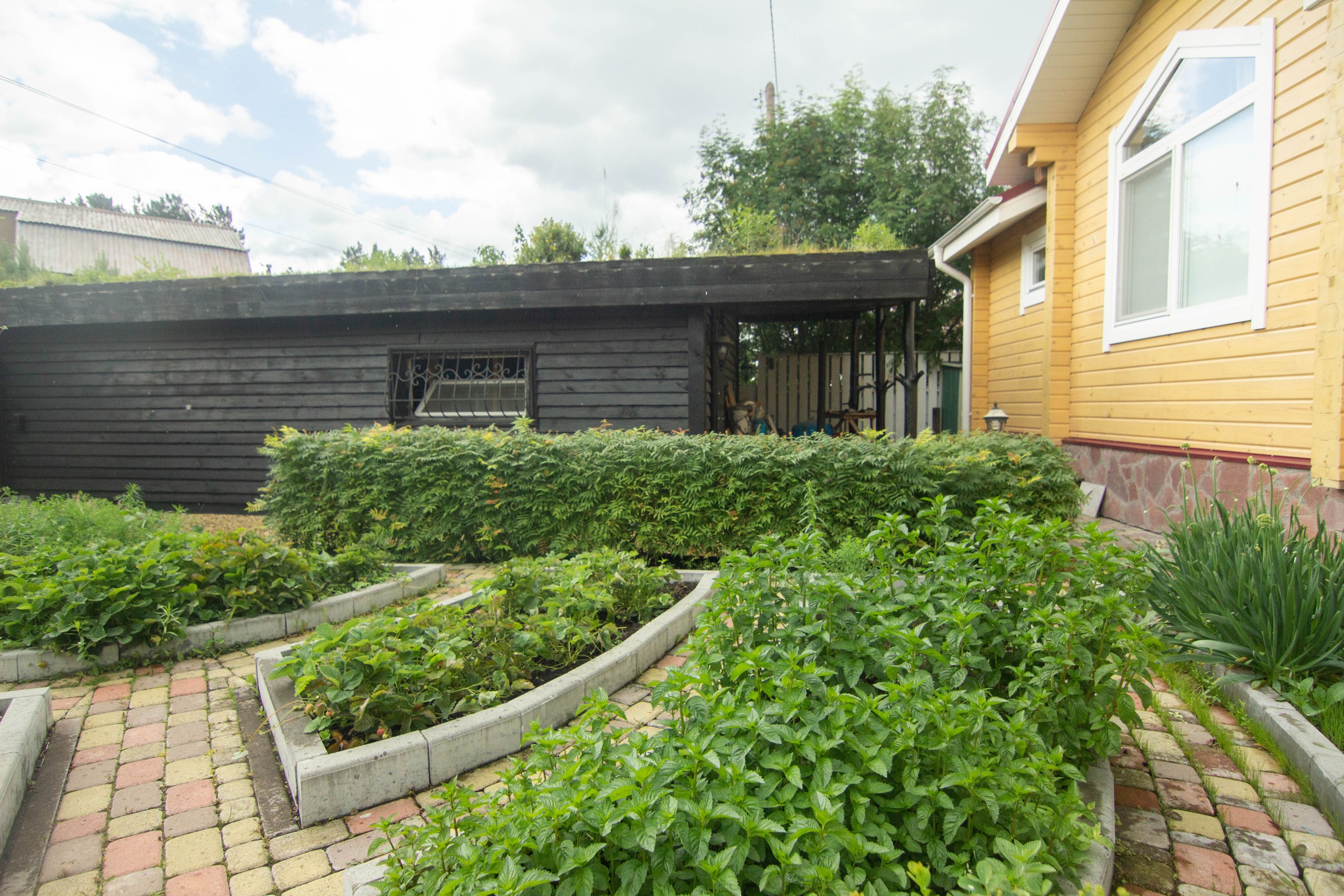 Сад с зеленой крышей