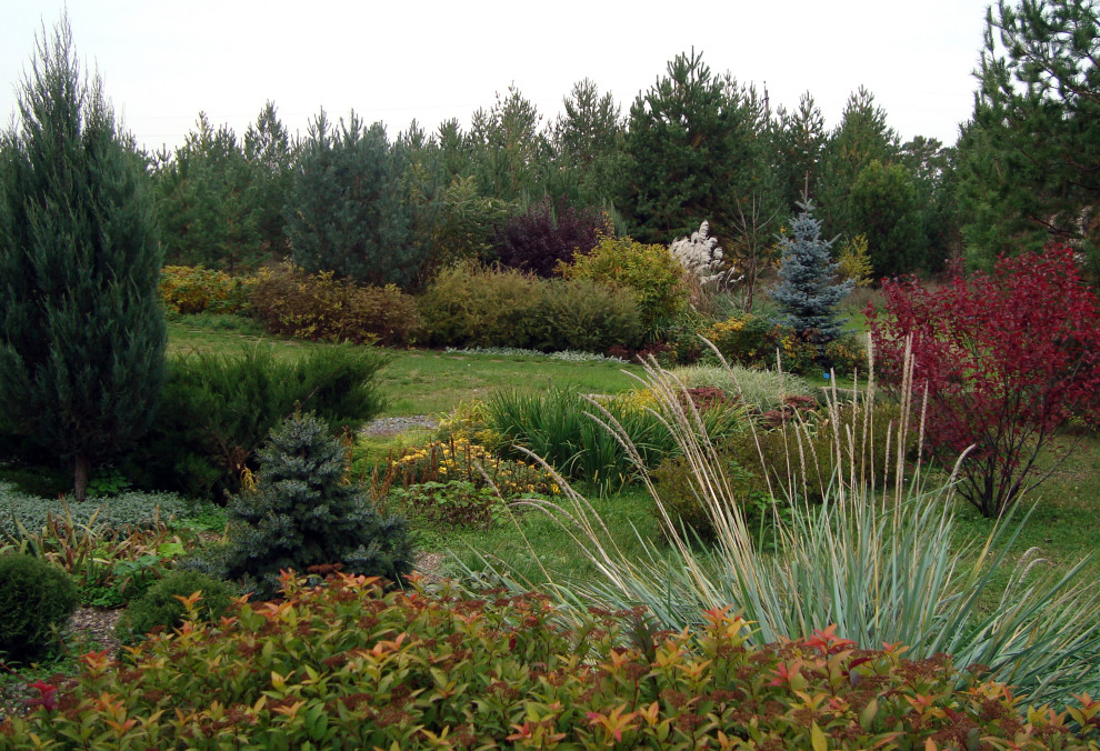 "Сад солнечного ветра"