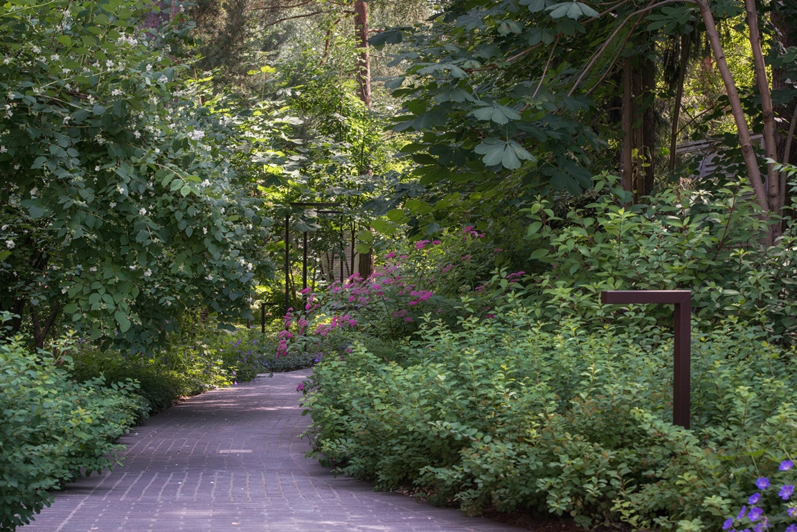 Лесная Рапсодия