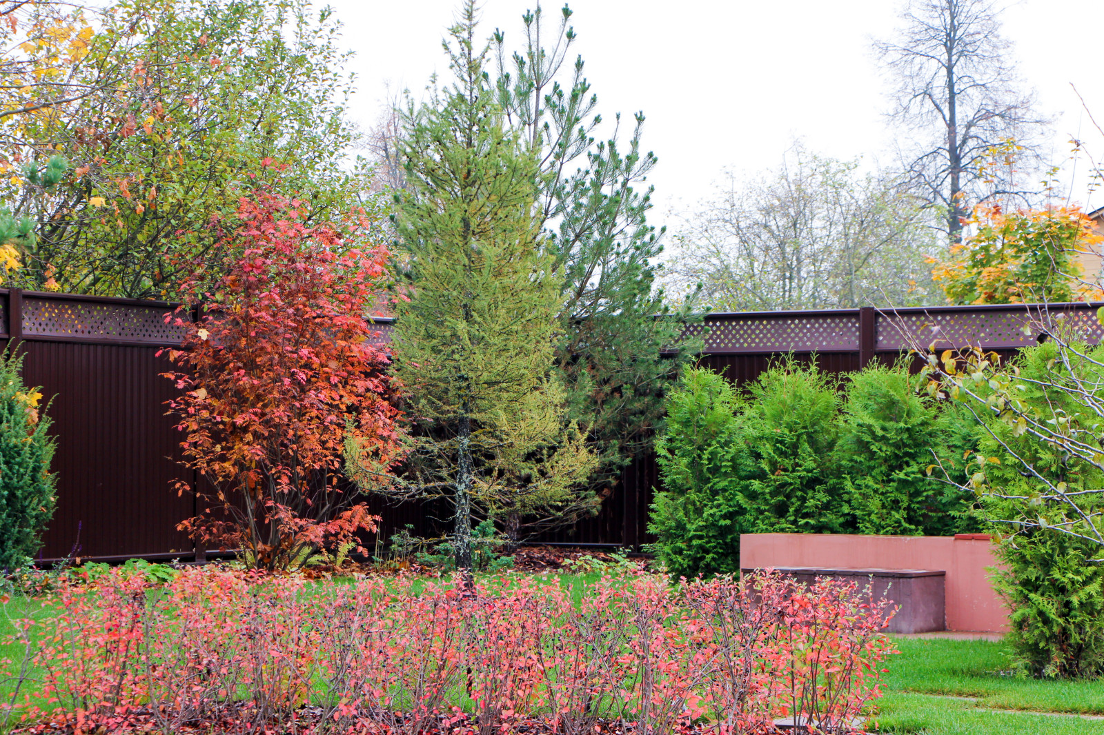 Петровское, 2018-2020 гг.