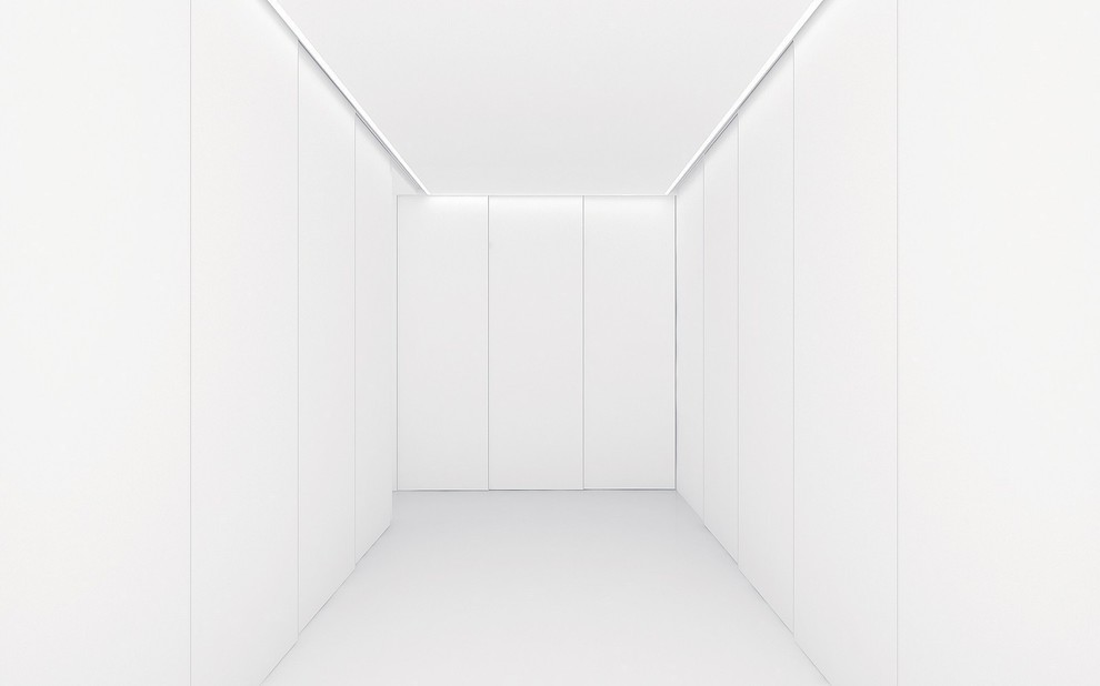 Антон Гришин