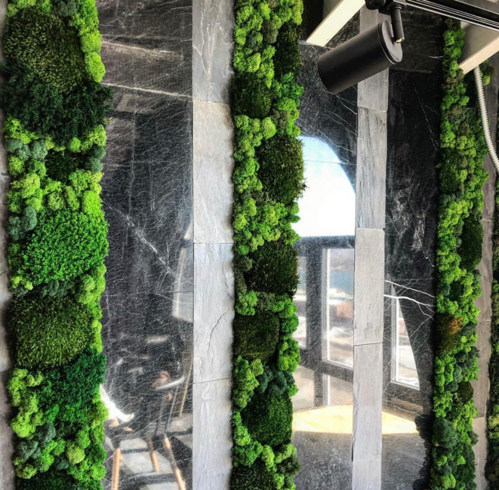 Стабилизированные и искусственные растения