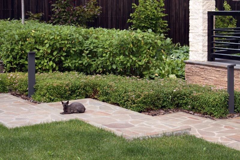 Современный сад