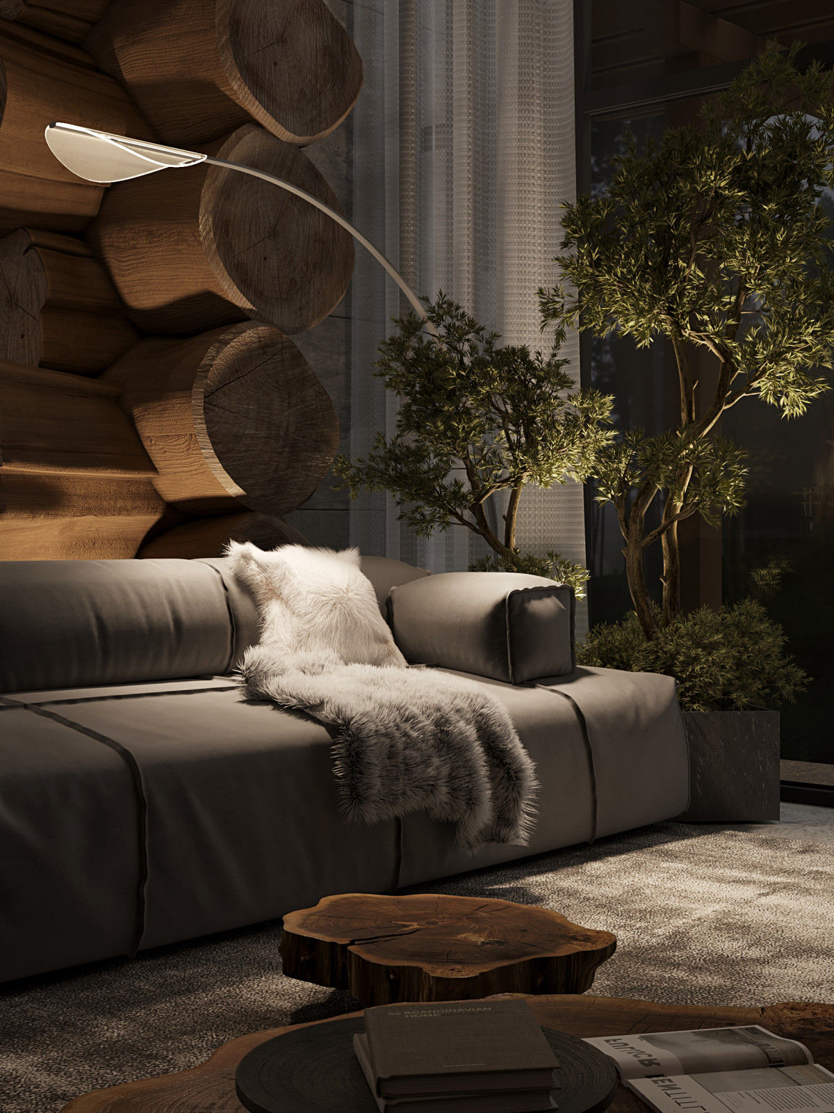 Проект царь-бани, Новосибирск