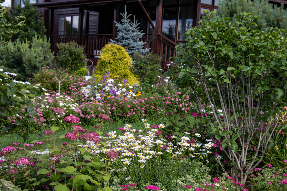 Сосновые берега